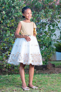 Gold Princess Tutu Dress
